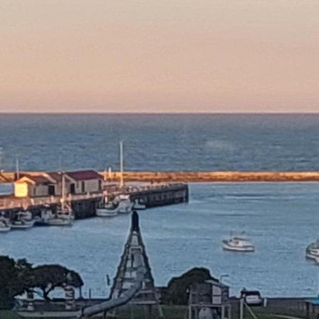 Oamaru Pink Cottage Esterno foto