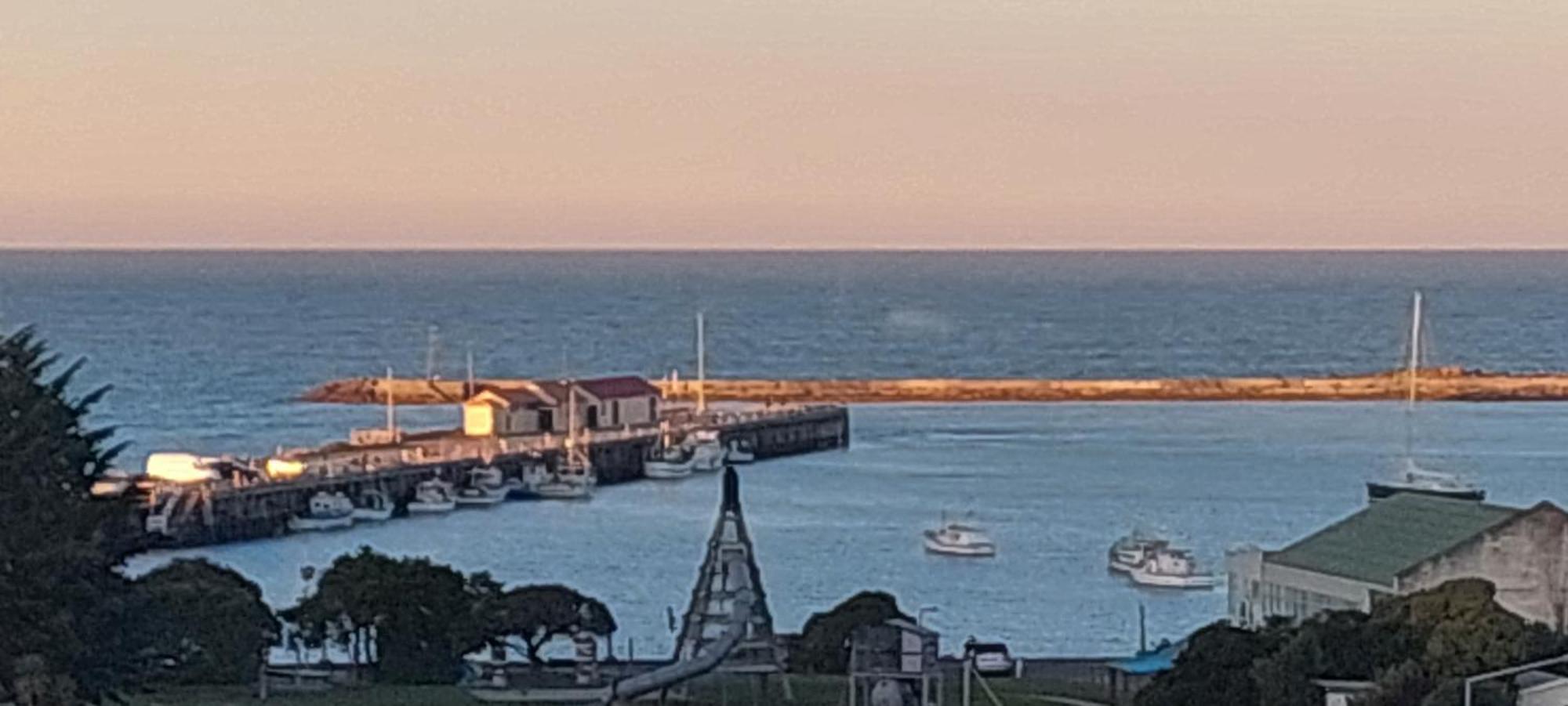 Oamaru Pink Cottage Esterno foto